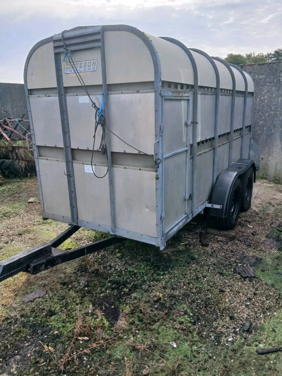 Bateson cattel traler 12 foot by 5 foot - Image 3