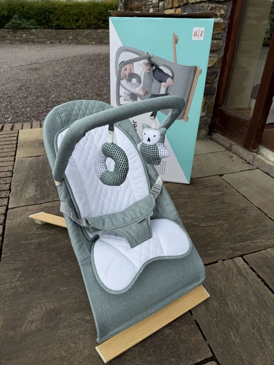 Nested Gravity Wooden Baby Bouncer Sage Green - Image 1