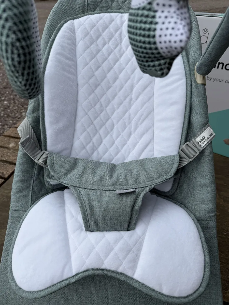 Nested Gravity Wooden Baby Bouncer Sage Green - Image 3