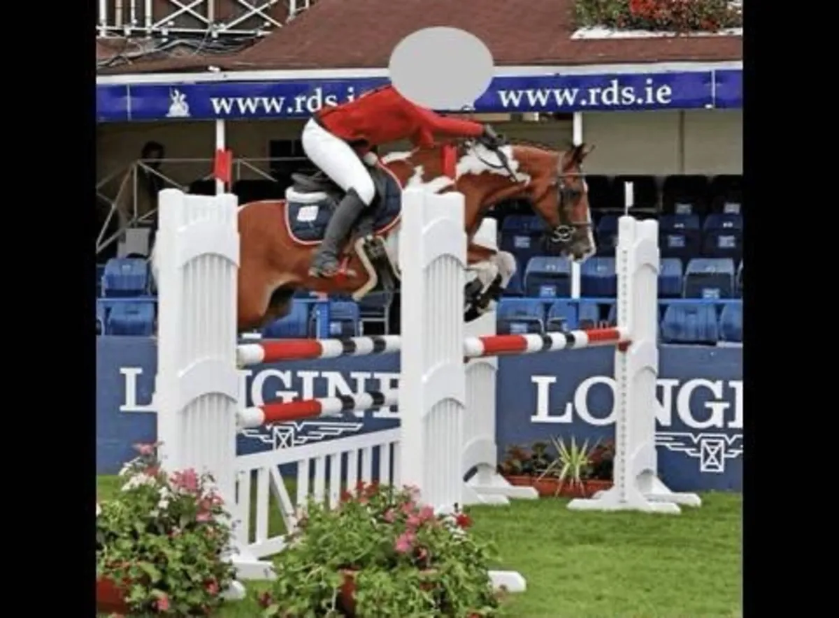 Grade A Showjumping 138