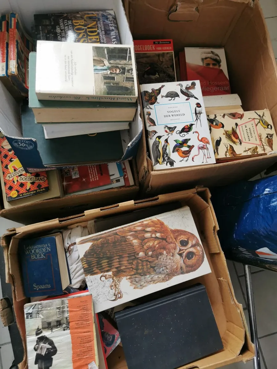 Dutch Books - Image 2