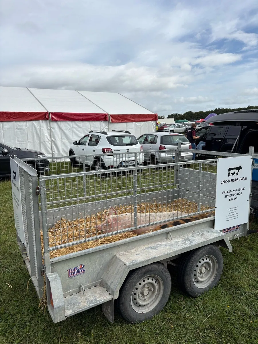 Free range Pork and Bacon products, Ham Fillets….. - Image 1