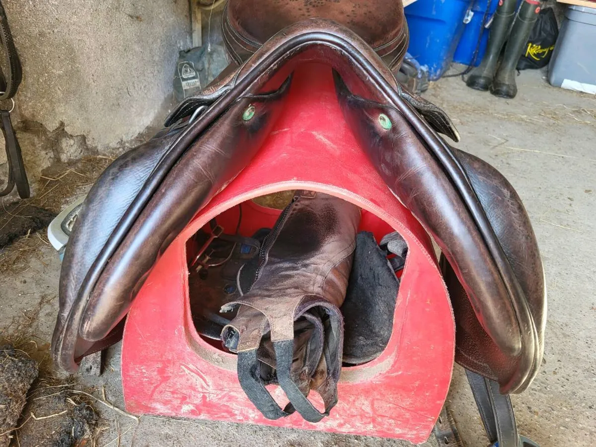 Amerigo Vega Monoflap Saddle - Image 3