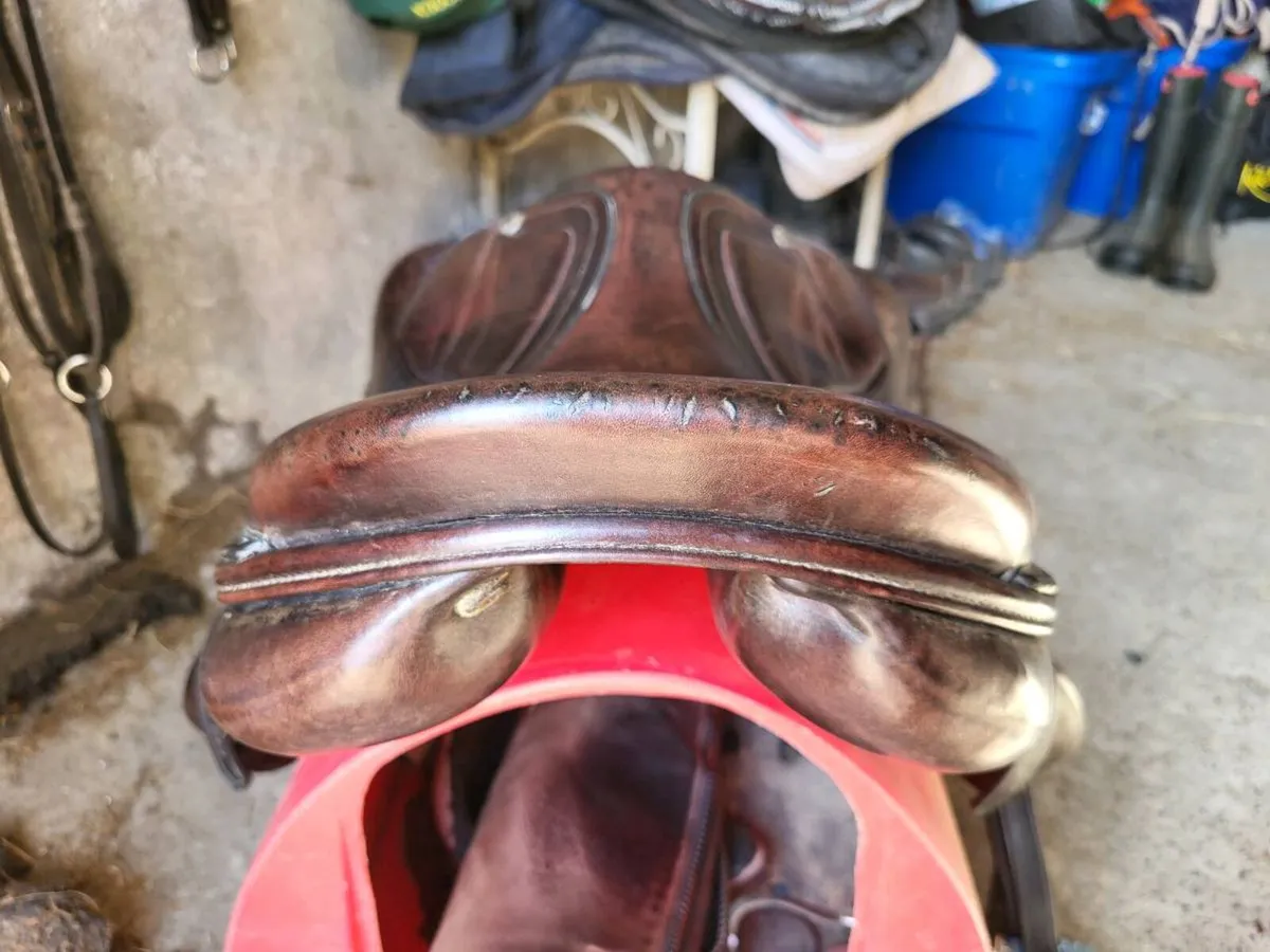 Amerigo Vega Monoflap Saddle - Image 4