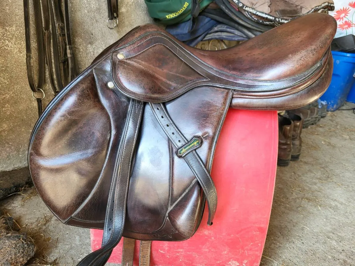 Amerigo Vega Monoflap Saddle - Image 2