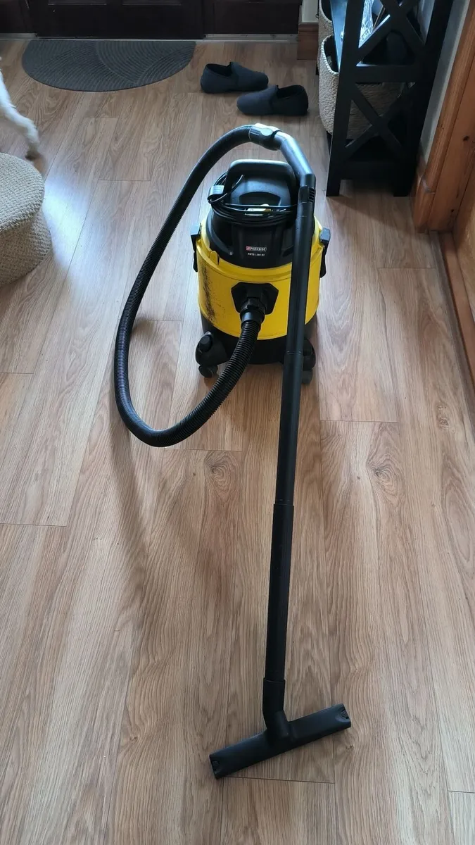 Wet and dry vacuum
