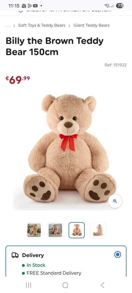 Extra large teddy