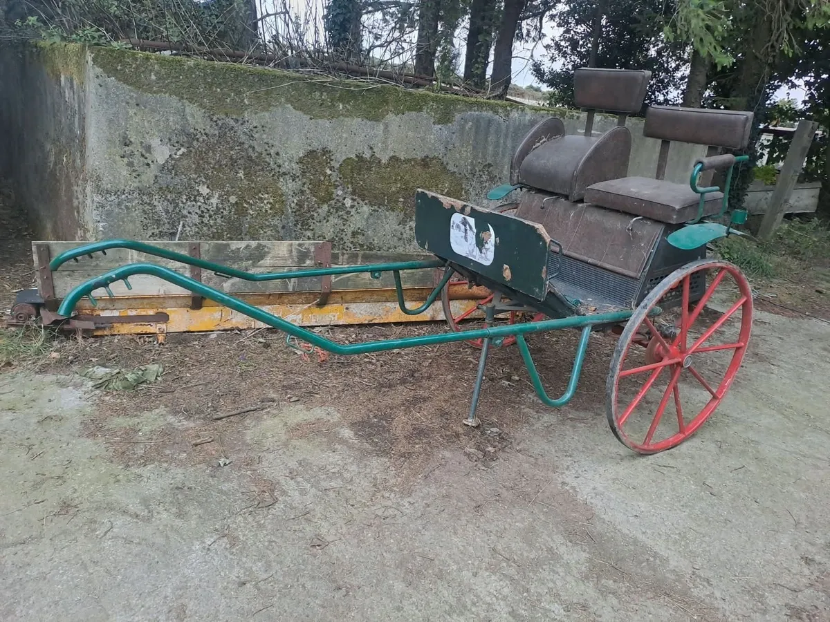 Horse Cart - Image 1