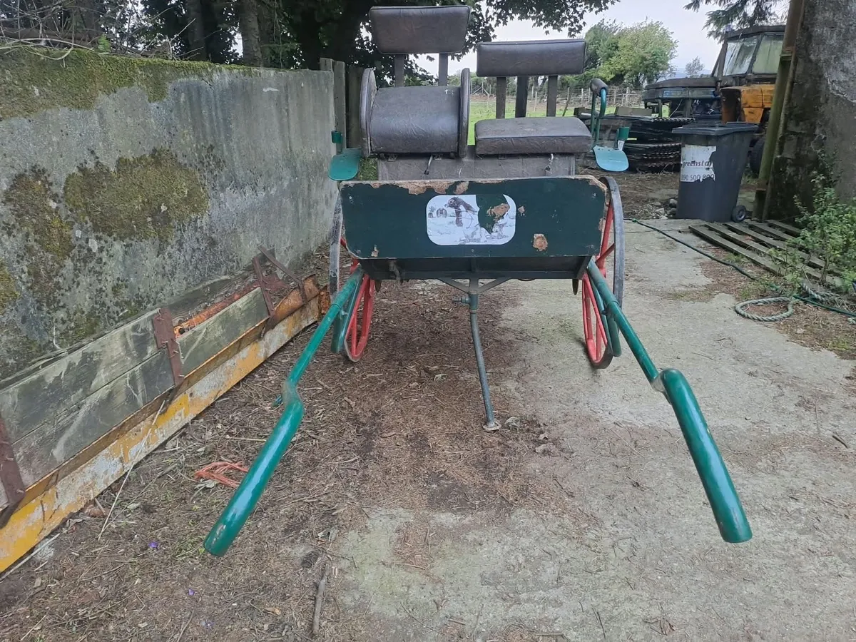 Horse Cart - Image 3