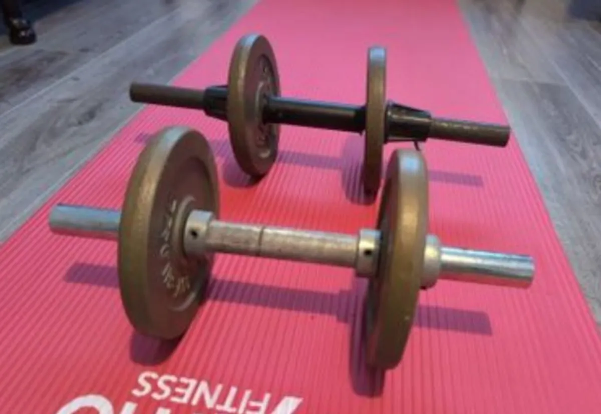 Dumbbells 12 kilo