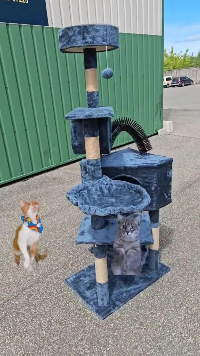 Cat scratcher cat tree brand new - Image 1