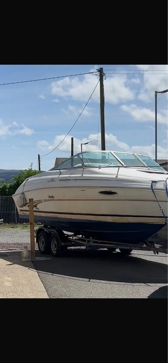 Sea Ray 215 express - Image 4
