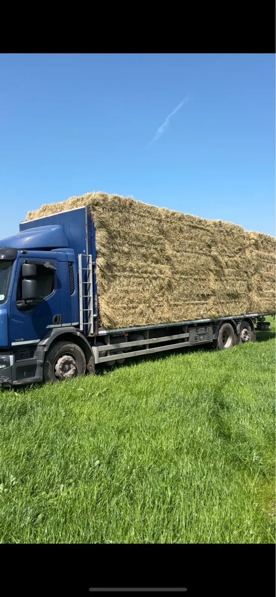 Straw and Hay - Image 2