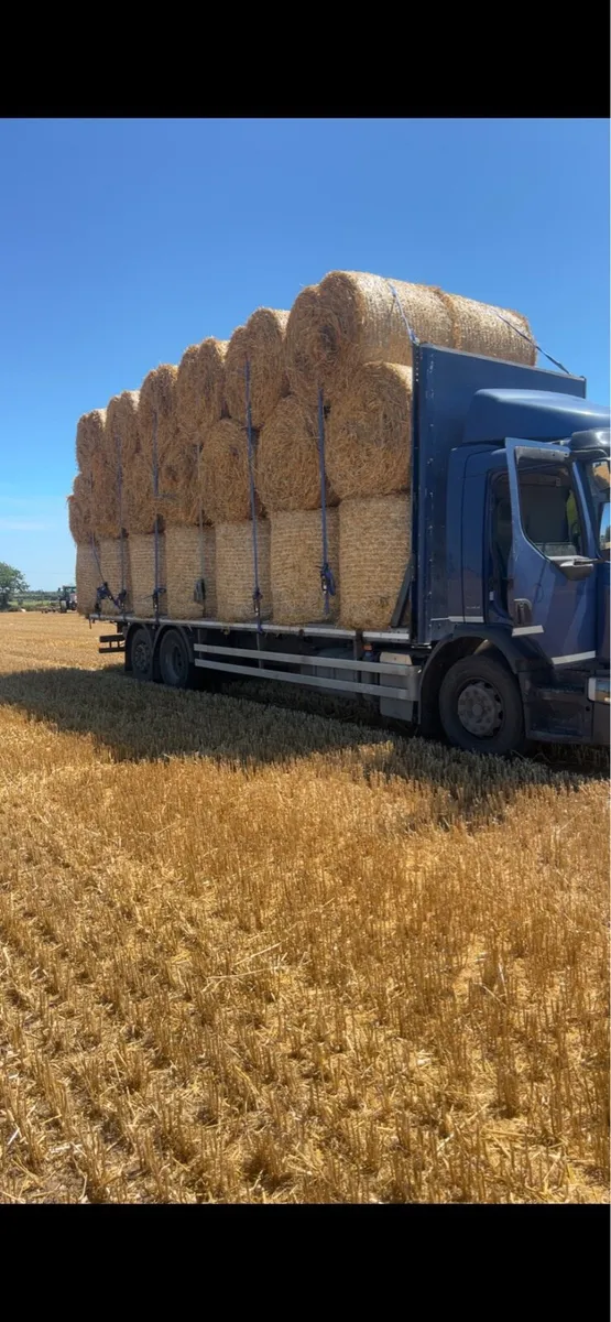 Straw and Hay - Image 3