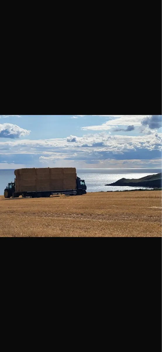 Straw and Hay - Image 1