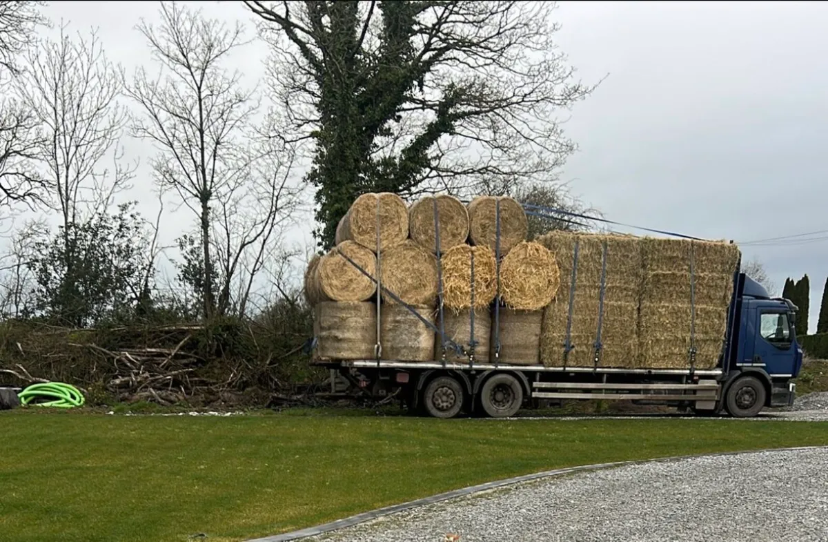 Straw and Hay - Image 4