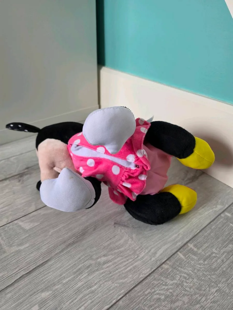 Minnie crawl with me - Image 4