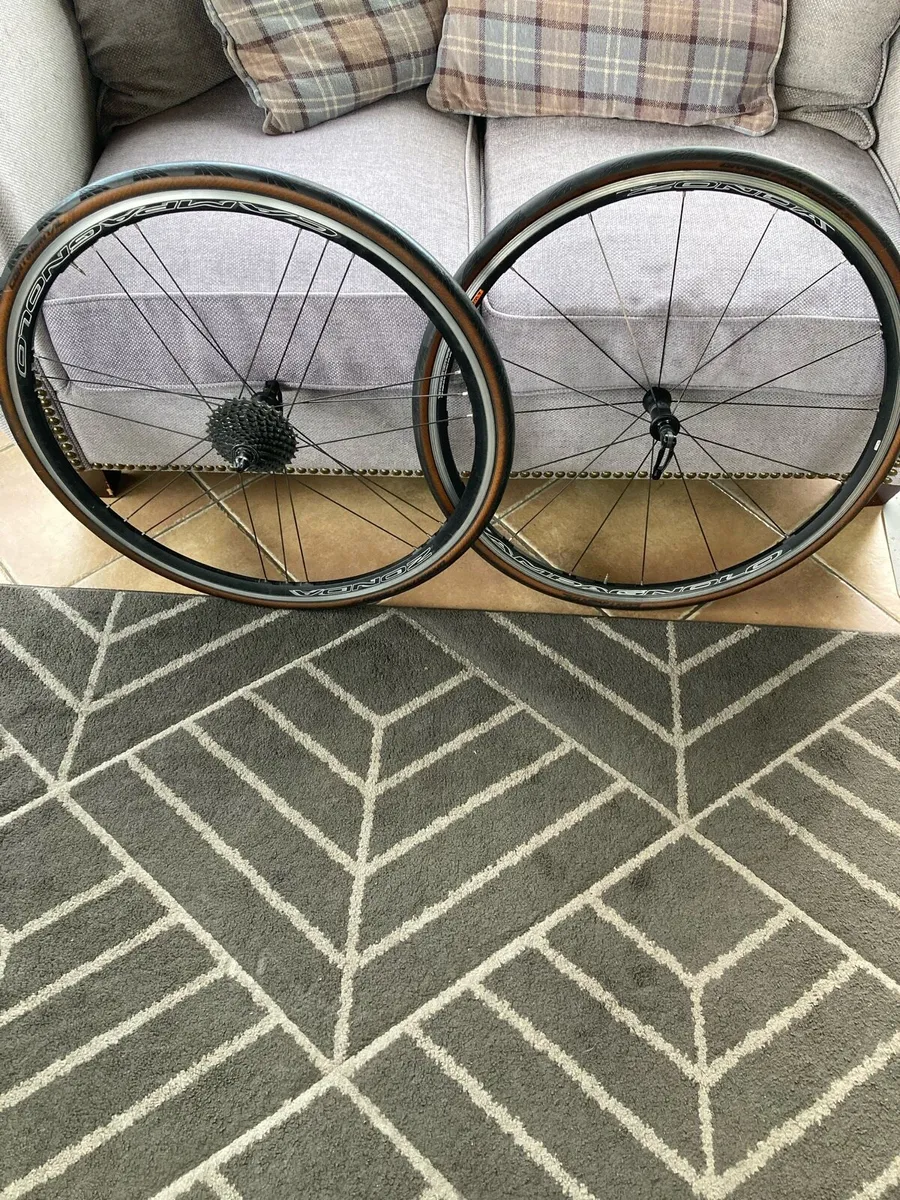 Bicycle wheels
