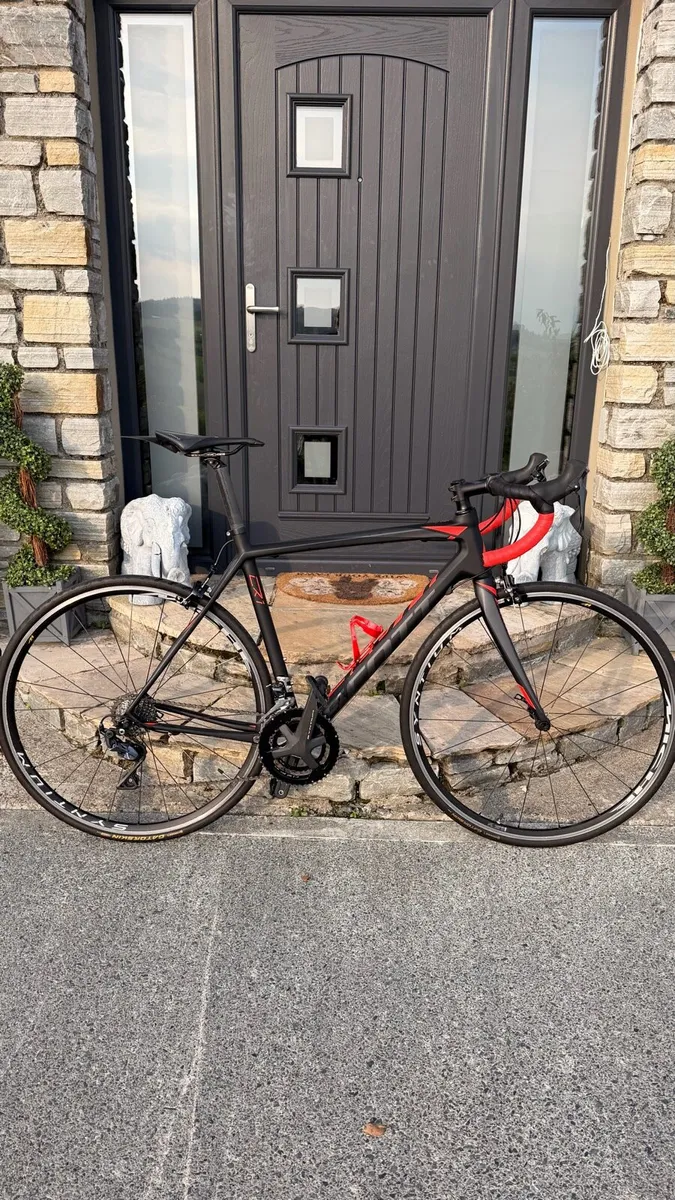 Scott Carbon Road bike - Image 1