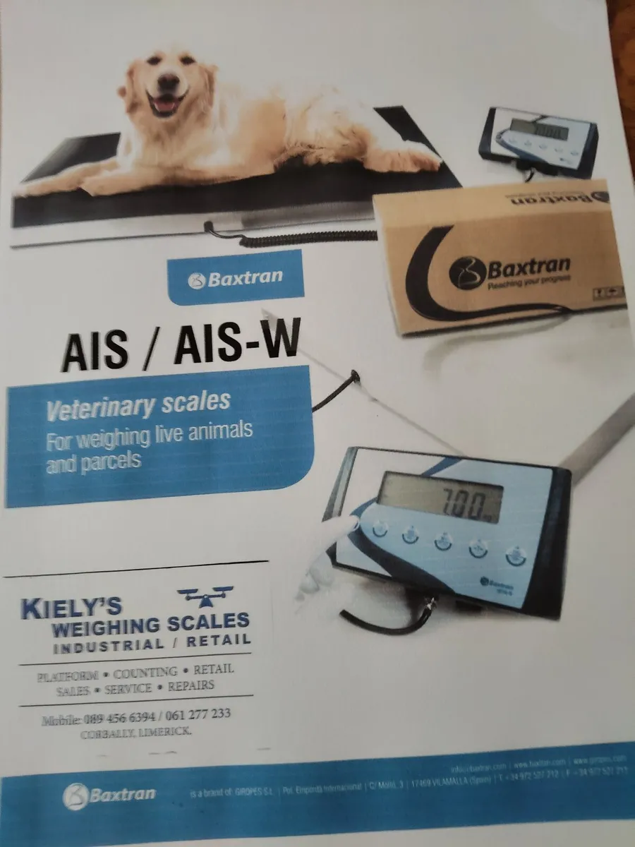 Veterinary weighing scales for domestic animals - Image 1