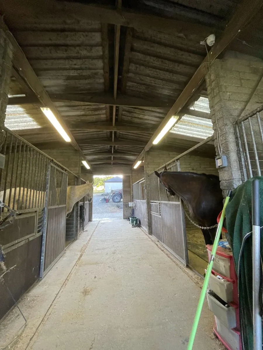 Livery Vacancy - Image 1