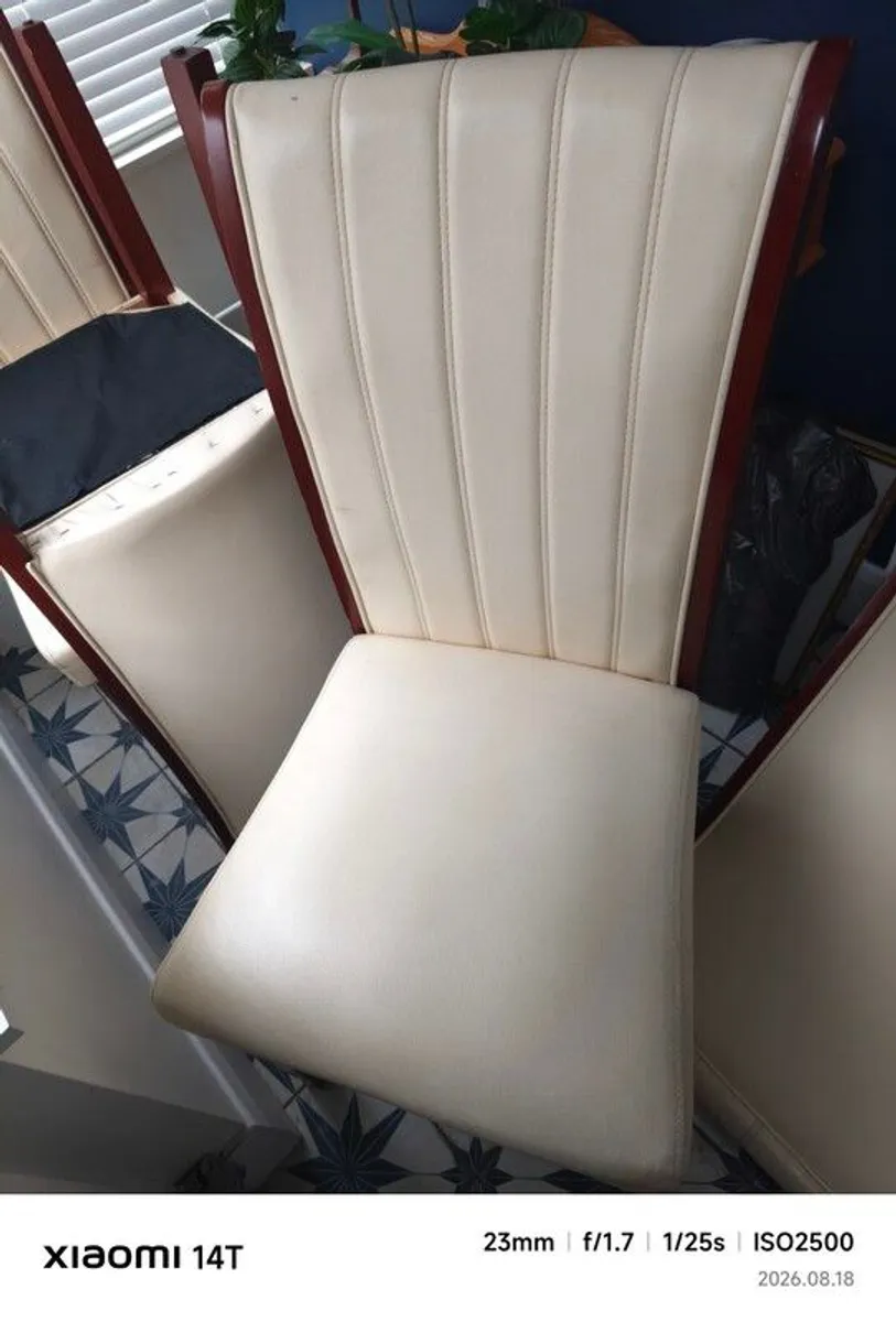 dining chairs - Image 1