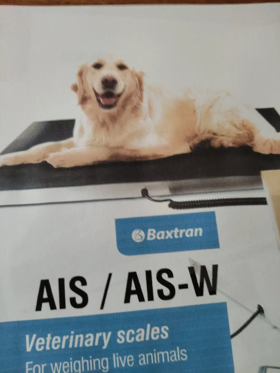 Veterinary weighing scales for domestic animals - Image 3