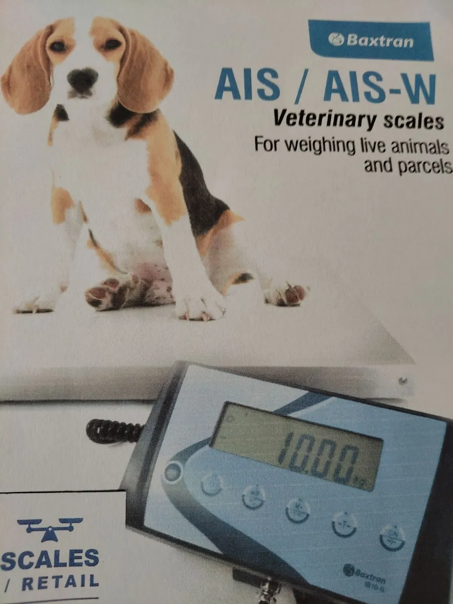 Veterinary weighing scales for domestic animals - Image 4