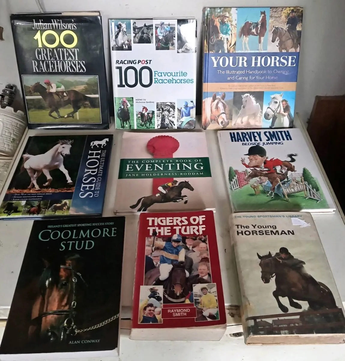 Joblot of Nine Horse/Rider Books
