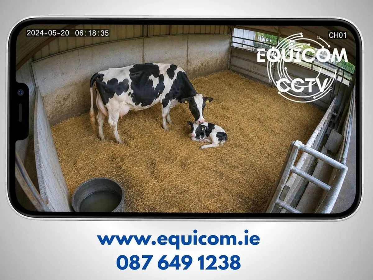 Calving Camera - Image 2