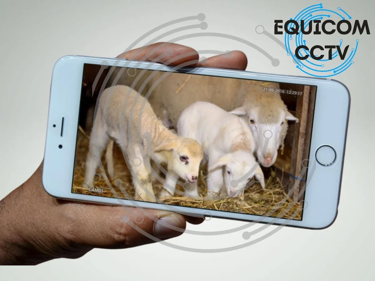 Calving / Lambing Camera - Image 2