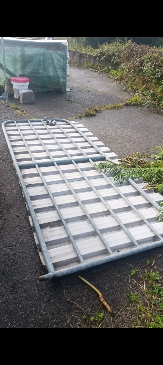 Metal gate external - Image 3