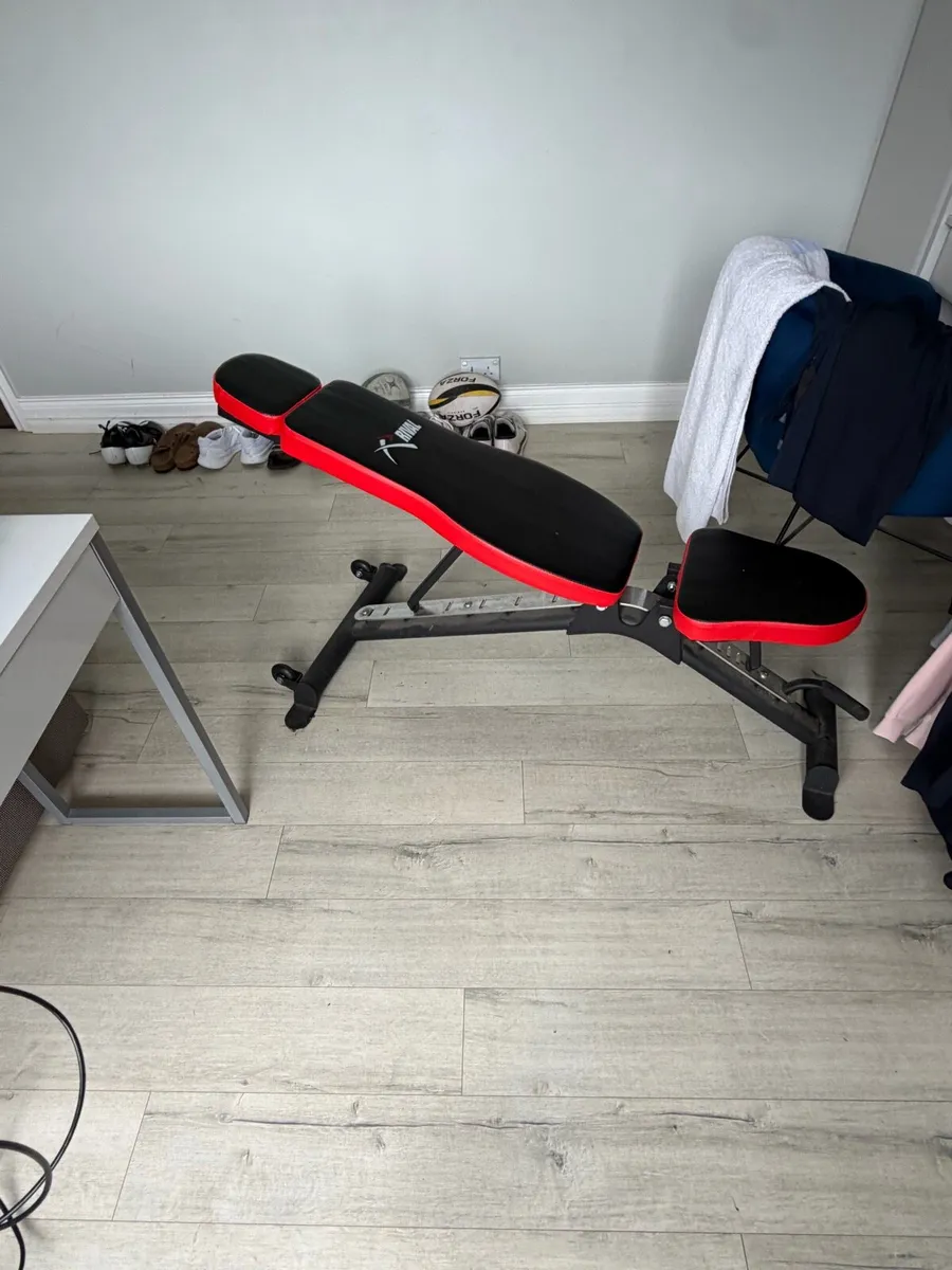 Weights Bench - Image 2