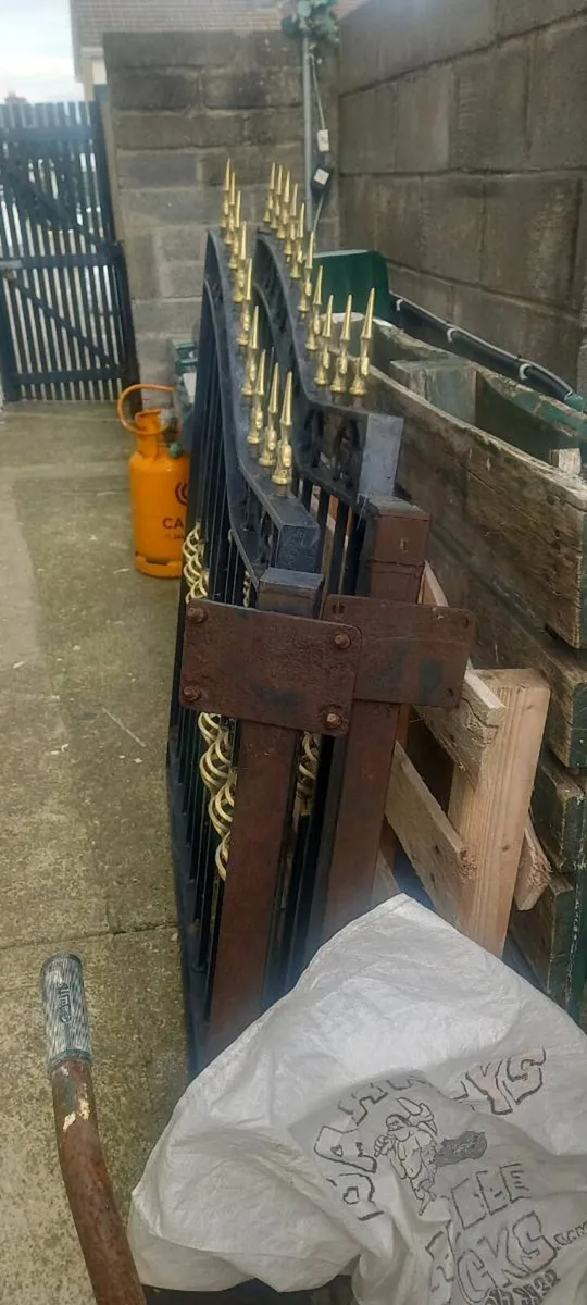 Garden gates - Image 1