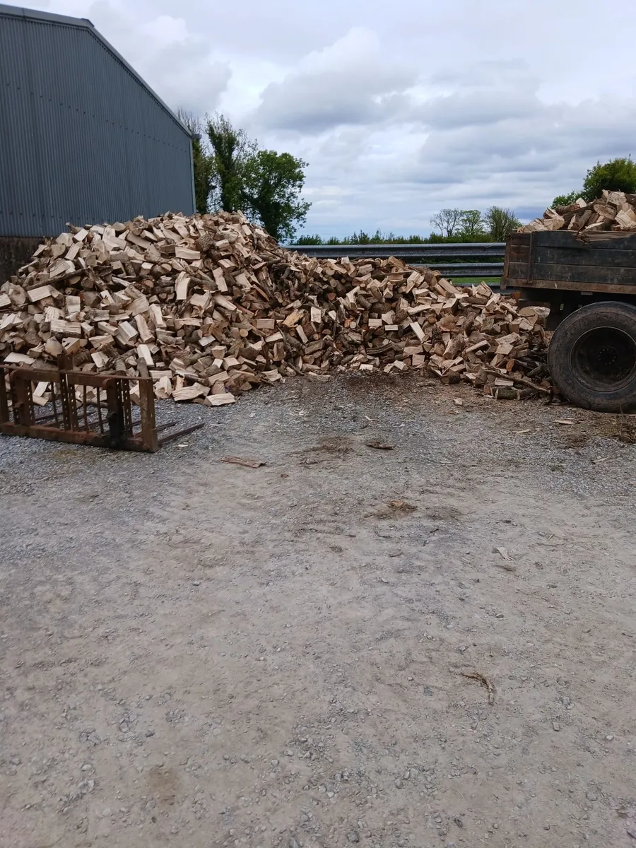 Firewood - Image 2