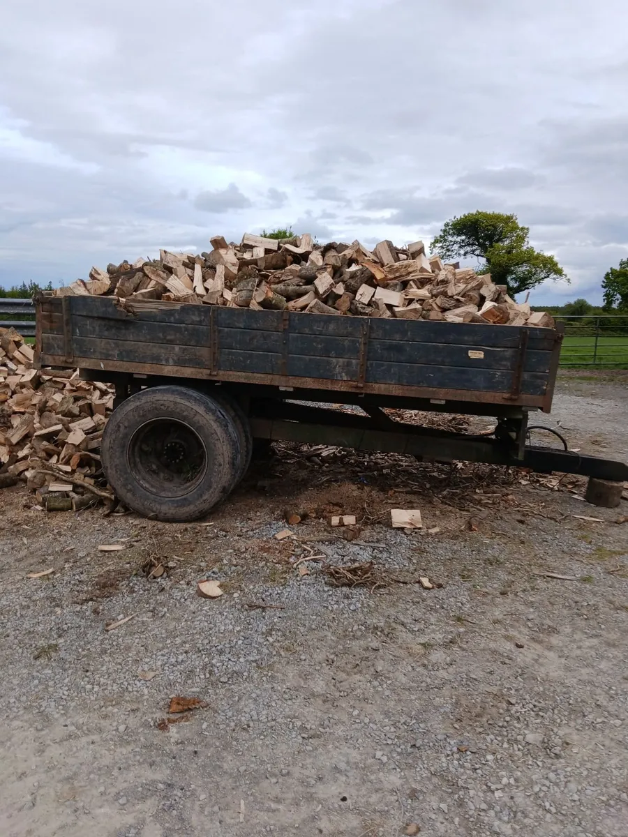 Firewood - Image 1