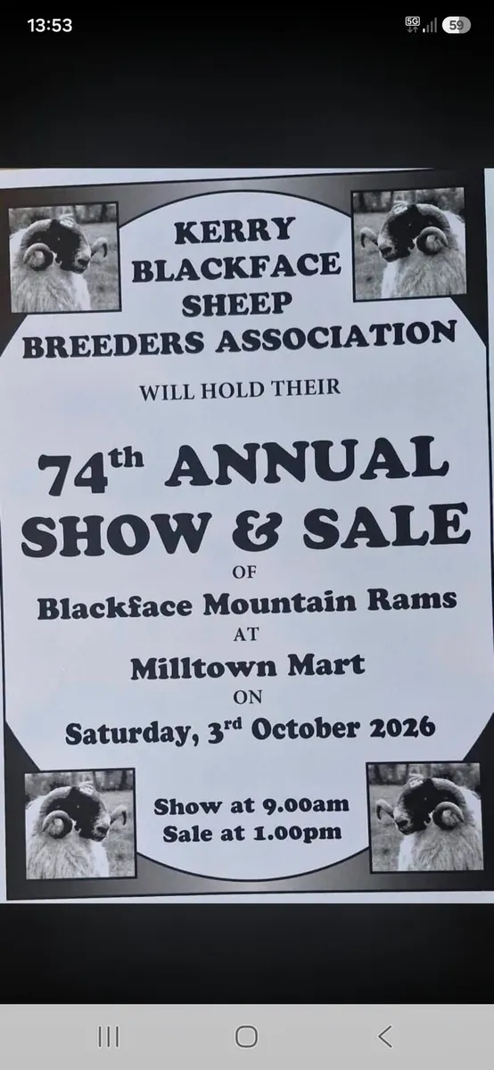 Kerry Blackface show and sale