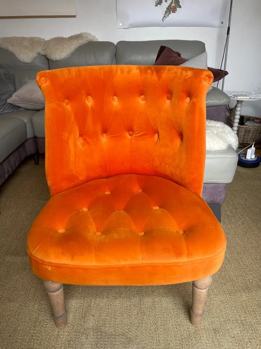 Chair velvet - Image 3