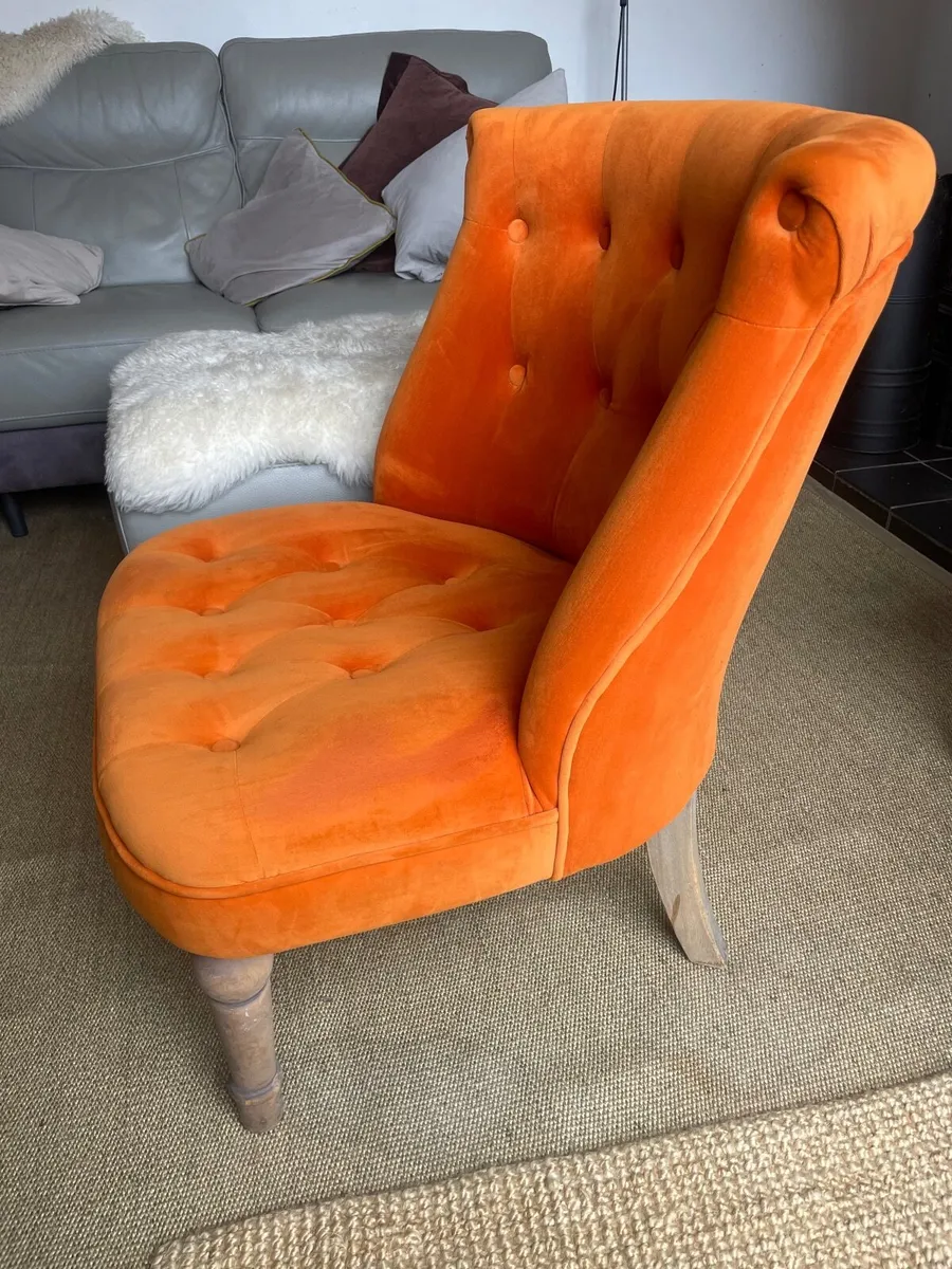 Chair velvet - Image 4