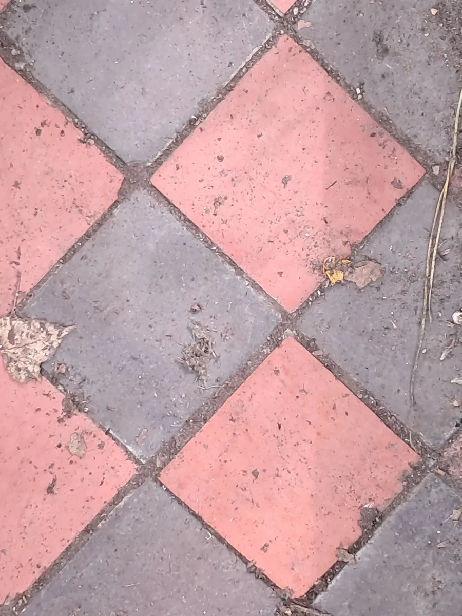 Quarry Tiles - Image 1