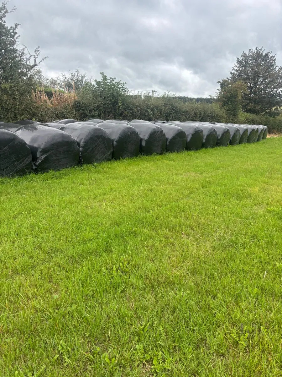 Bale silage