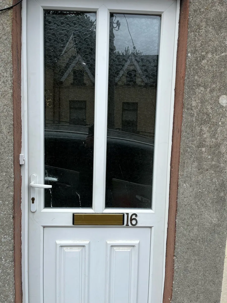 PVC door - Image 1