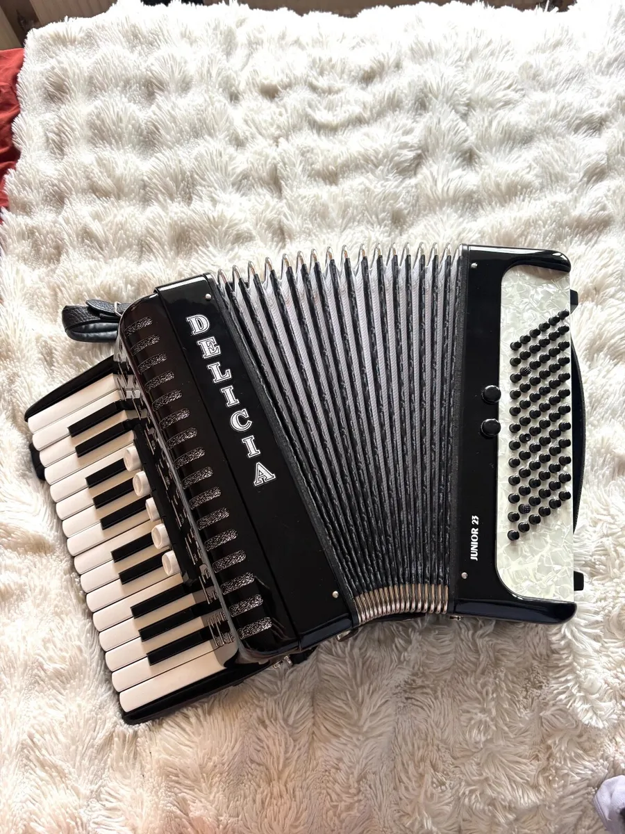 Piano accordion - Image 1