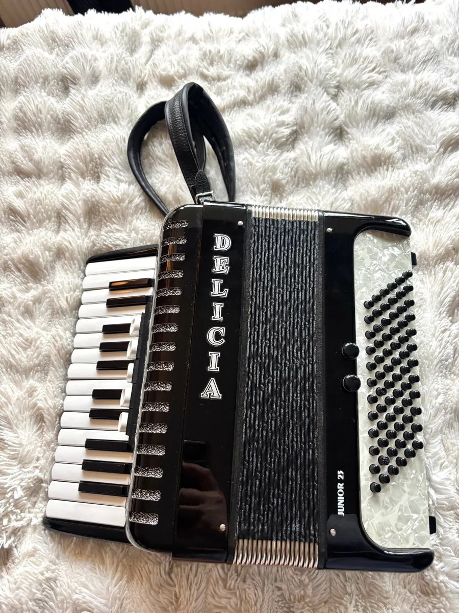 Piano accordion - Image 2