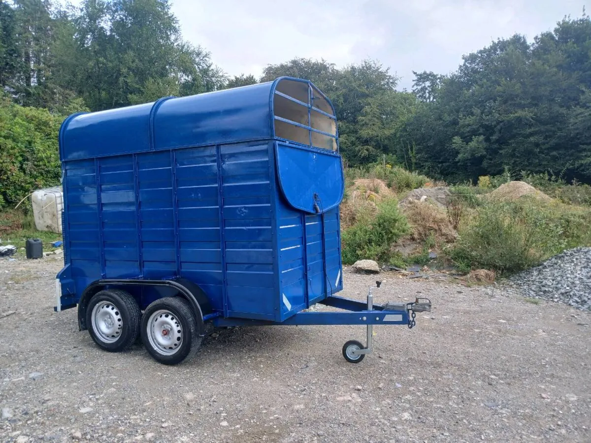 Cow box - Image 1