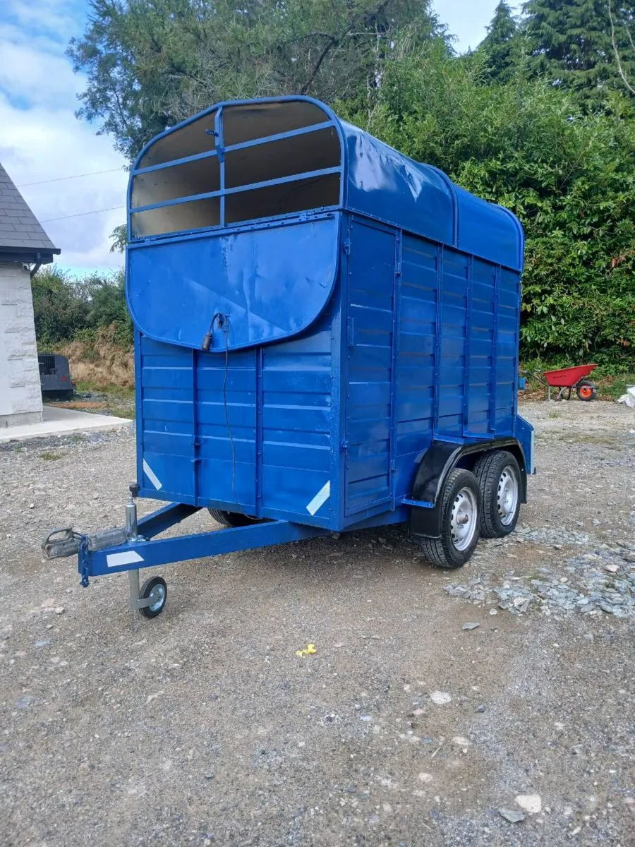 Cow box - Image 2