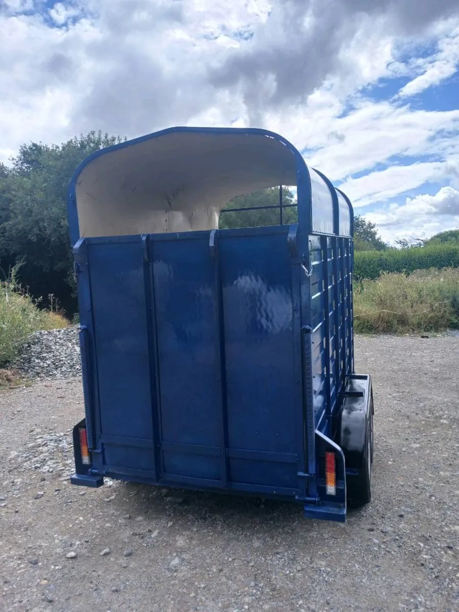 Cow box - Image 3
