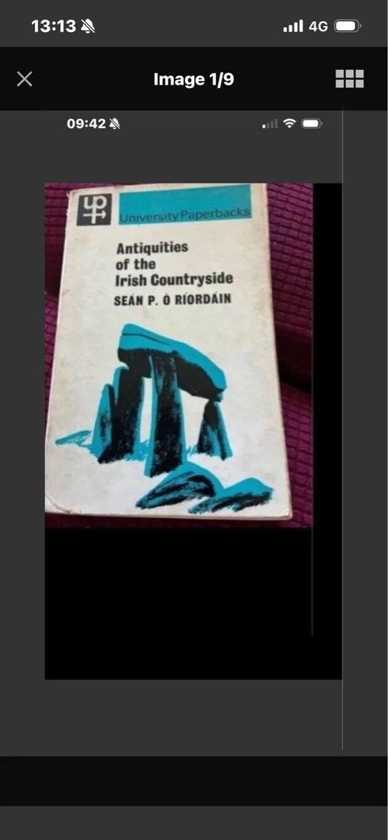 Antiquities of Irish Countryside - Image 1