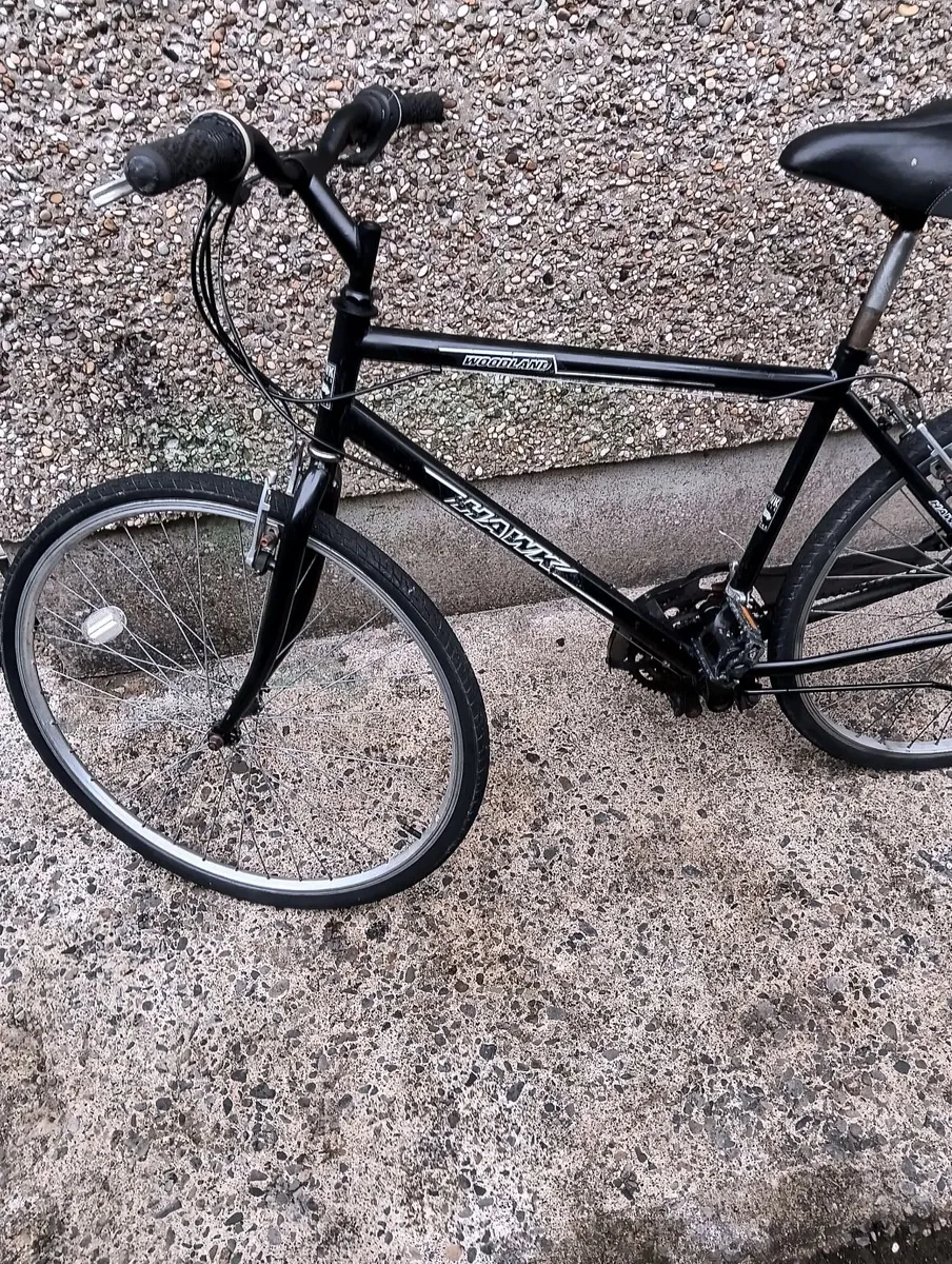 Mens bike - Image 1