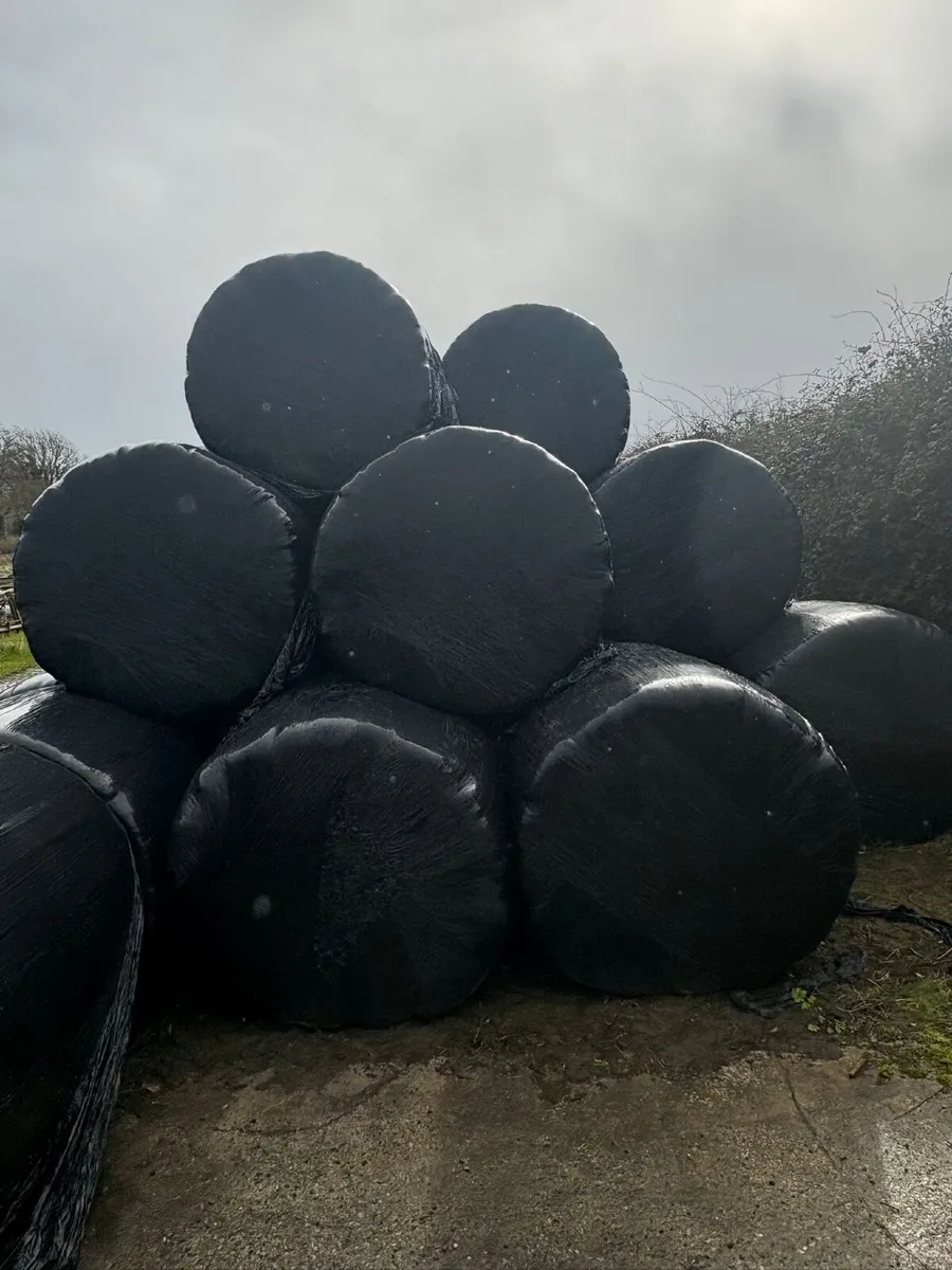 Haylage and Hay - Image 1